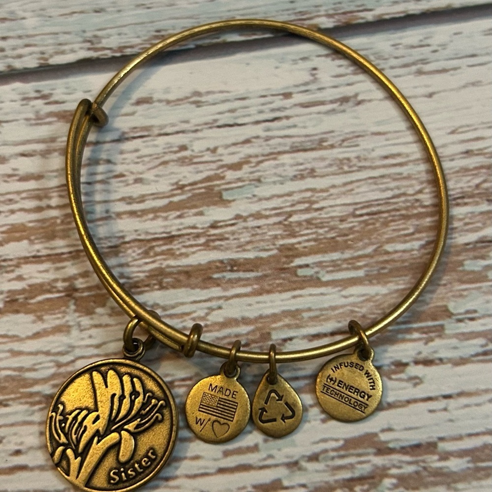 Alex and Ani Gold Sister 2015 Charm Bangle Bracelet